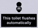 this-toilet-flushes-automatically~